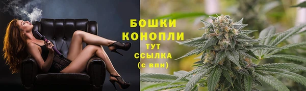 дурь Аркадак