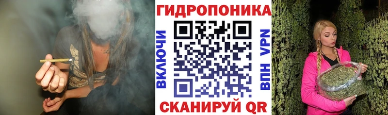 Бошки Шишки конопля  где купить   Свирск 